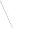NBA Golden State Warriors Large Logo Apple Pencil (2nd Gen 2019) Skin